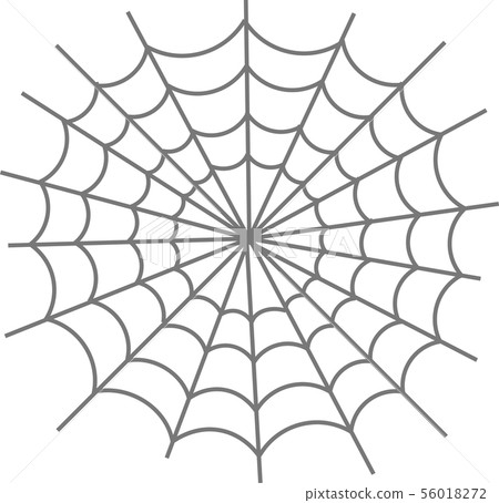 Spider web Spider web 56018272