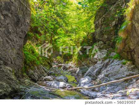 The origin of the Yura River, Gongen-tani at the foot of "Chorogatake" (Kyotanba-cho, Funai-gun, Kyoto Prefecture) *The shooting position in the comment section of the work 56019307