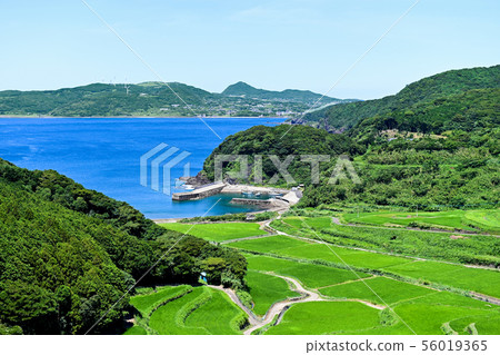 Sea and rice terrace Sea and rice terrace 56019365