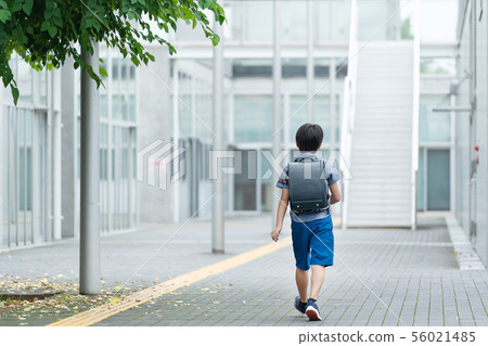Elementary school, school, boy 56021485