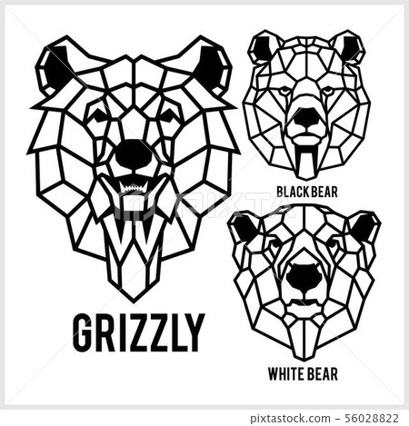 Grizzly, black bear, white bear - animal heads icons. Vector geometric illustrations of wild life Grizzly, black bear, white bear - animal heads icons. Vector geometric illustrations of wild life 56028822