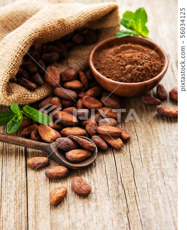 Raw cacao beans and cocoa powder 56034125