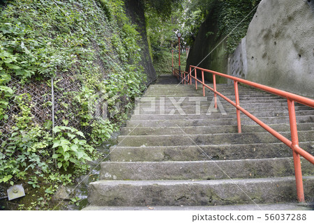 The approach of stone steps The approach of stone steps 56037288
