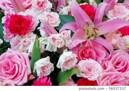 Glossy and colorful flowers Glossy and colorful flowers 56037337