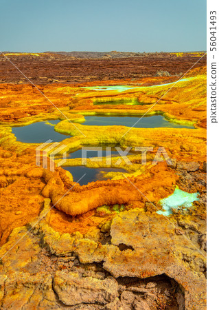 Dallol, Ethiopia. Danakil Depression 56041493