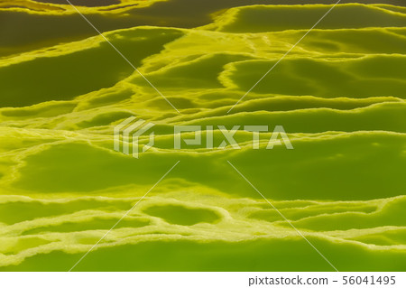 Dallol, Ethiopia. Danakil Depression 56041495