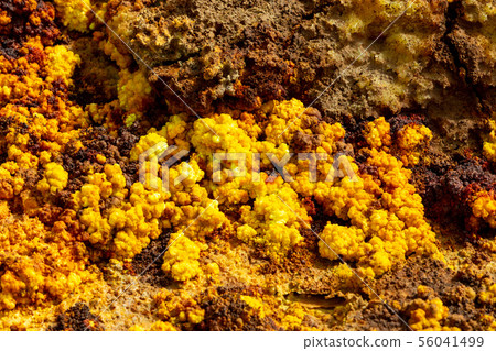 Dallol, Ethiopia. Danakil Depression 56041499