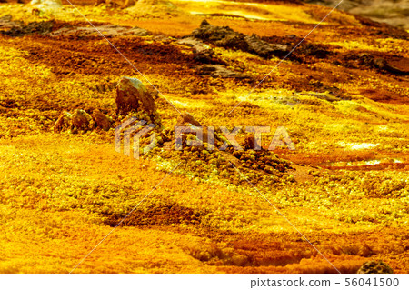 Dallol, Ethiopia. Danakil Depression 56041500
