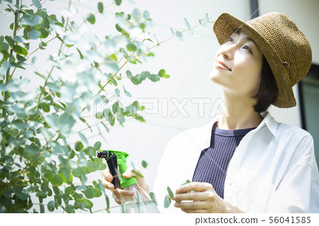 女廚房花園噴霧 56041585