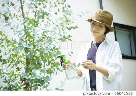 女廚房花園噴霧 女廚房花園噴霧 56041586