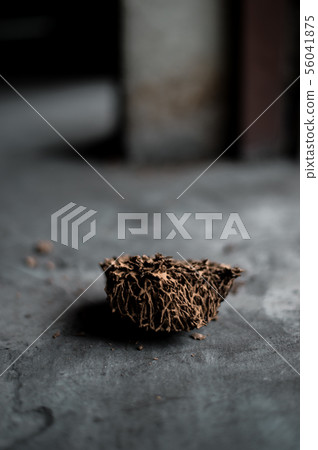 The abandoned small termite nest 56041875