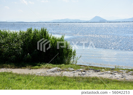 Lake Biwa Lakeside Lake Biwa Lakeside 56042253