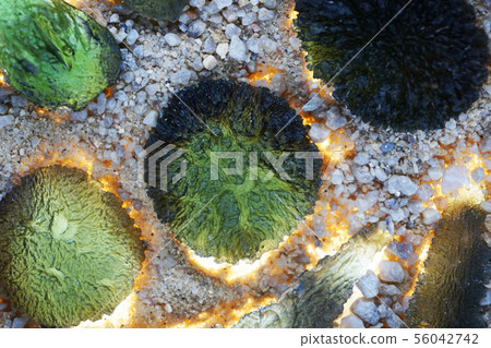 moldavite minerals collection moldavite minerals collection 56042742