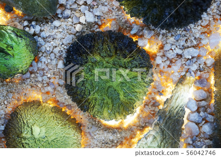 moldavite minerals collection moldavite minerals collection 56042746