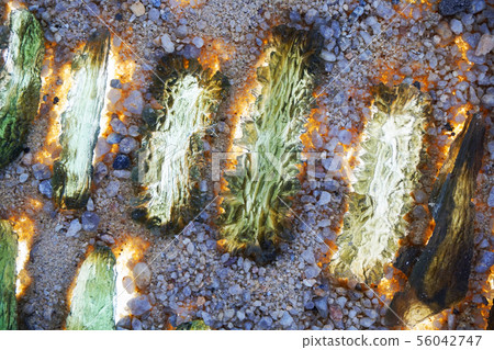 moldavite minerals collection moldavite minerals collection 56042747