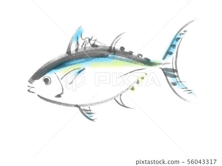 Salmon tuna handwritten illustration Delicious tuna Japanese food cut brush drawing Hand drawn cut illustration brush drawing 56043317