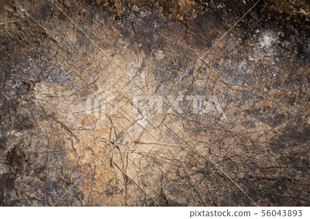 Wood texture background of wood table for interior 56043893