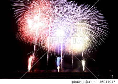 2019 Shinmei Fireworks Display Wide Star Mine 2019 Shinmei Fireworks Display Wide Star Mine 56044047
