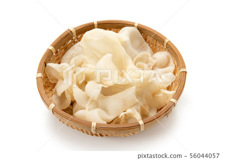 Raw white fungus 56044057