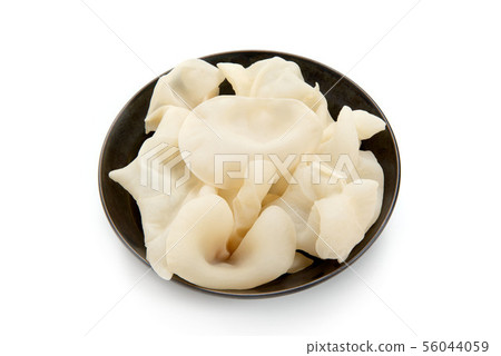 White whale 56044059