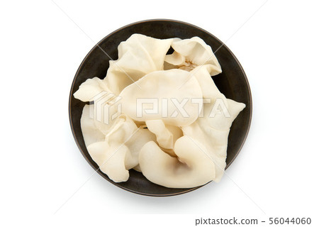 White whale 56044060