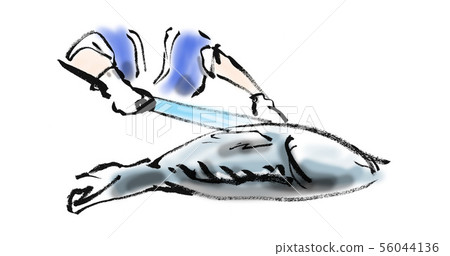 金槍魚拆解，金槍魚拆解展示拆解表演，人物切割，nata，快樂，金槍魚，手寫 56044136