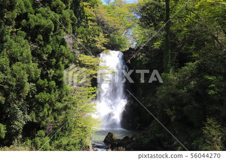 Shirataki Waterfall (Nikaho City, Akita Prefecture) 56044270