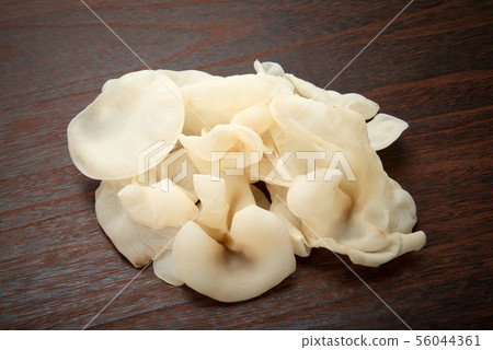 Raw white fungus 56044361