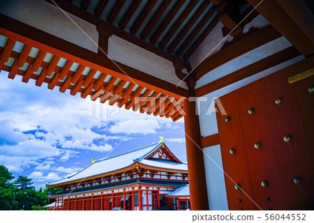 Yakushiji屋頂 56044552