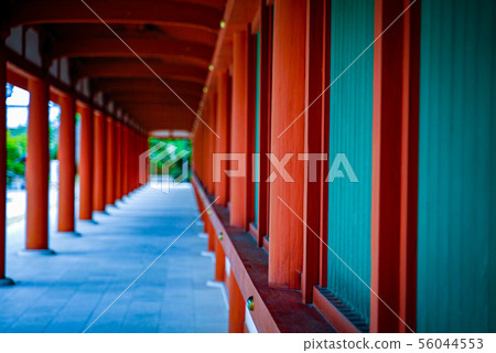 Yakushiji走廊 56044553