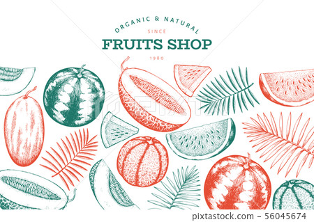 Watermelon, melon and tropical leaves design 56045674