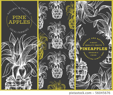 Set of tree pineapple banner templates. Hand drawn 56045676