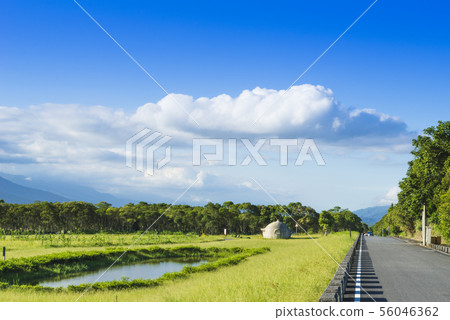 花東縱谷大農大富平地森林園區 56046362