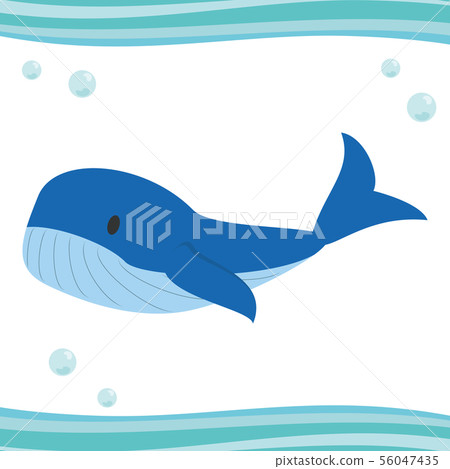 海洋生物系列鯨魚 海洋生物系列鯨魚 56047435