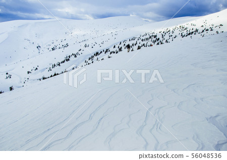 Carpathian mountains in winter, covered with snow Carpathian mountains in winter, covered with snow 56048536