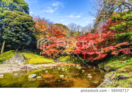 Koishikawa Korakuen in Tokyo Autumn 56048717