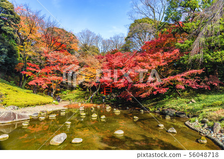 Koishikawa Korakuen in Tokyo Autumn 56048718