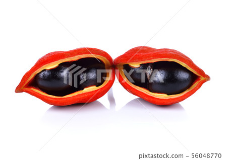 sweet chestnuts (Sterculia monosperma) on white 56048770