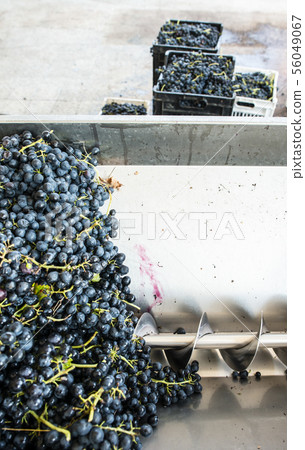 Grape crushing machine Grape crushing machine 56049067