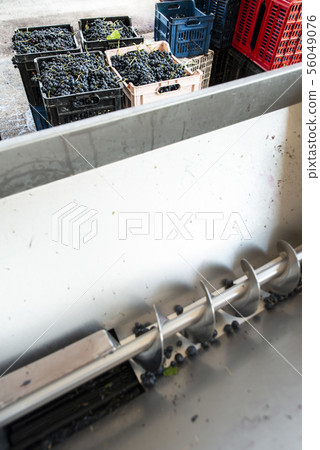 Grape crushing machine Grape crushing machine 56049076