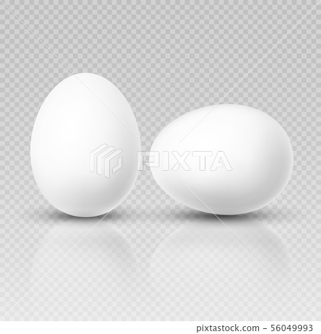 Realistic chicken egg. Vector template for easter decoration 56049993