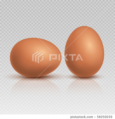Realistic brown chicken eggs. Natural and healthy farm food vector illustration 56050039
