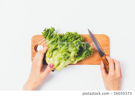 Top view female hands cutting green lettuce Top view female hands cutting green lettuce 56050373