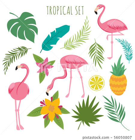 Tropical vectoro set with pink flamingos, palm leaves and flowers 56050807