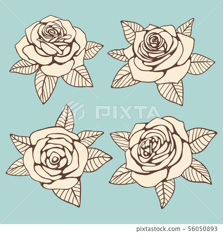 Vintage hand drawn roses with leaves vector design - Stock Illustration ...