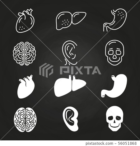 Line and outline white human organs Line and outline white human organs 56051868