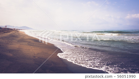 Sea wave on sandy beach 56051990