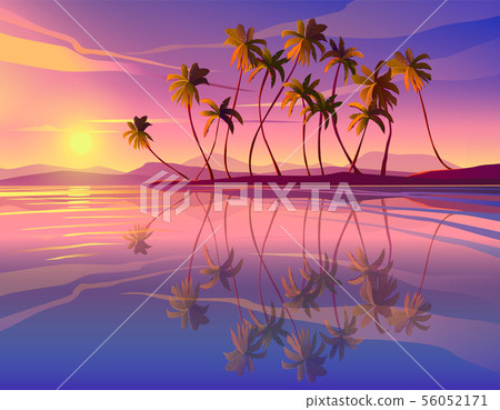 Beautiful seaside sunset. Decline, ocean, palm trees. Beautiful seaside sunset. Decline, ocean, palm trees. 56052171