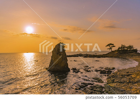 [Tateishi of Akiya] 56053709