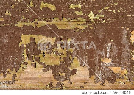 Texture Texture 56054046
